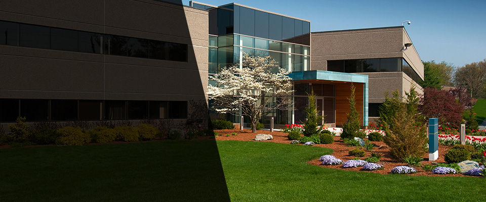 Paynesville Landscapers