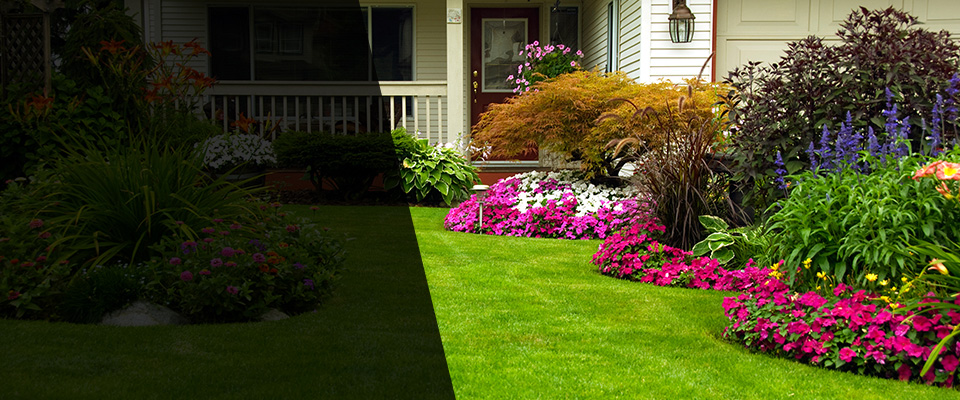 Paynesville Landscapers