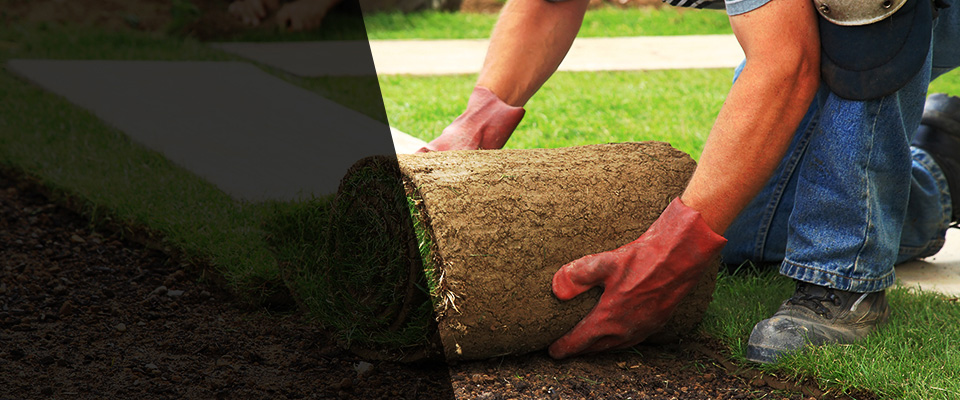 Paynesville Landscapers